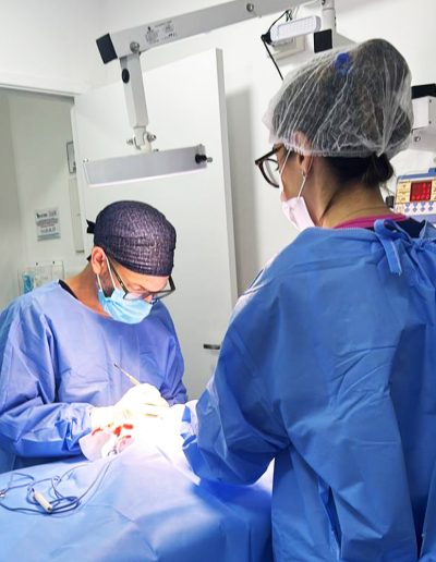 Bruno Vet - Cirurgião Geral, Ortopedia e Neurologia Veterinária