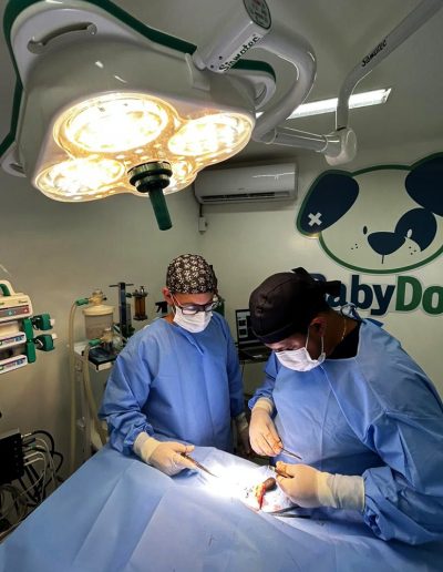 Bruno Vet - Implantes para Ortopedia
