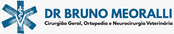 Dr. Bruno Orsi Meoralli - Veterinário