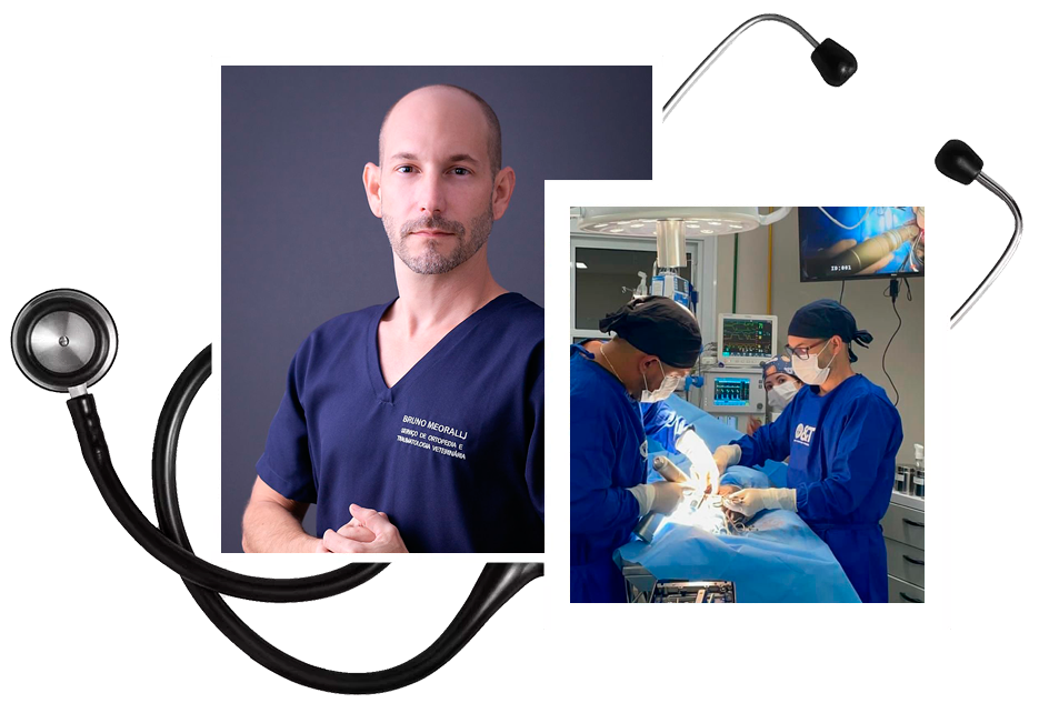 Vet. Bruno Meoralli Cirurgião e Ortopedia Vet. Bruno Meoralli Cirurgião e Ortopedia